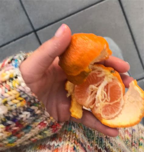 Someone Holding An Orange In Their Hand On The Ground With Tile