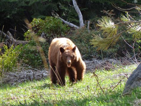 Et pour finir, ces deux parcs nous ont offert une faune et une