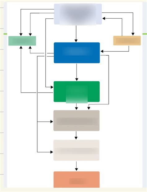 Sensomotorik Absteigende Bahnen Diagram Quizlet