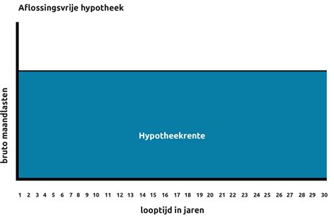 Aflossingsvrije Hypotheek Academica