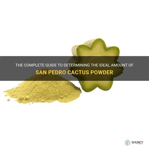 The Complete Guide To Determining The Ideal Amount Of San Pedro Cactus