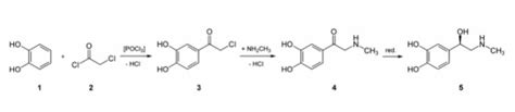 Epinephrine - Part 1