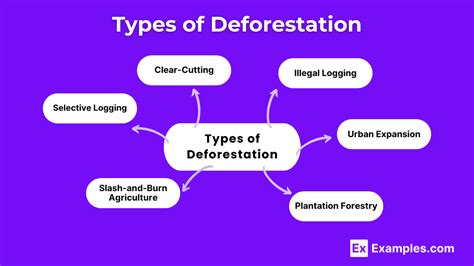 Deforestation - 10+ Examples, Types, Causes, Effects, Solutions & More