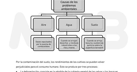 Desastres Naturales Mapa Conceptual Desastres Naturales The Best Porn