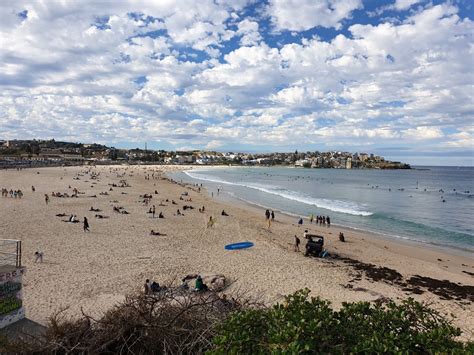 Bondi Beach Park Bondi Beach Tourist Attractions Localista