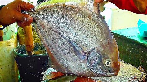 Big Black Pomfret Fish Cutting Slicing In Fish Market Fish Cutting