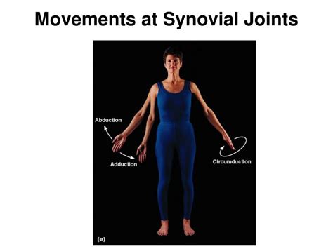 Concept Map Synovial Joint Movements