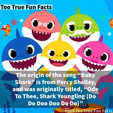 Baby Shark Fun Fact | Fun facts, Baby songs, Fun