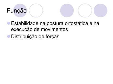 Ppt Complexo Articular Do Quadril E Cintura P Lvica Powerpoint