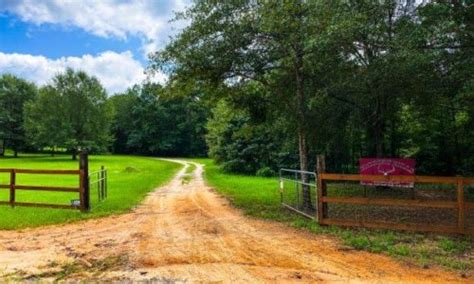 Twiggs County Land For Sale Green Hill Land And Forestry