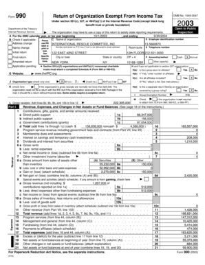 Fillable Online Irc S Form Fy International Rescue Committee