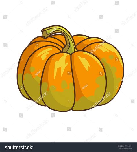 Pumpkin Cartoon Drawing Vector Illustration Isolated Stock Vector ...