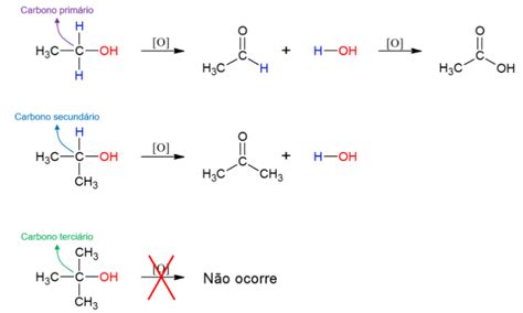 Reações Orgânicas Quais São Exemplos E Características Das Reações