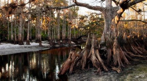 Not-So-Sunshine State: 10 Abandoned Towns In Florida To Know About