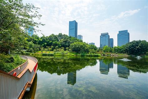 Hermoso Parque De Humedales Y Horizonte Urbano En Chongqing China