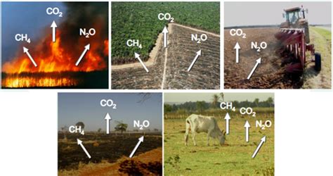 O Que Agricultura De Baixo Carbono Agrosmart