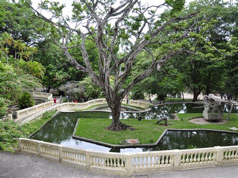 Roteiros De Jo O Pessoa Parque Arruda C Mara