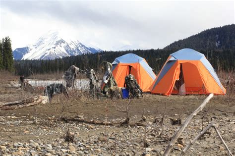 Grizzly Bear Hunting, British Columbia | Covert Outfitting