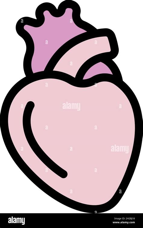 Cardiac Human Heart Icon Outline Cardiac Human Heart Vector Icon Color