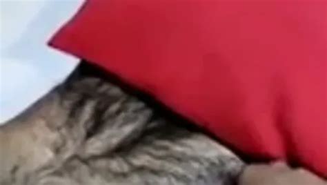 Free Slave Punished Gay Porn Videos 3 XHamster