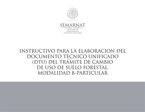 PDF INSTRUCTIVO PARA LA ELABORACION DEL Instructivo Para La