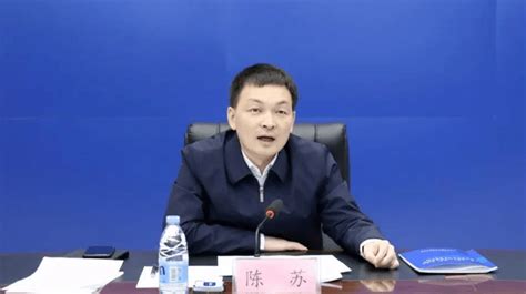 近期多名“80后”厅官职务调整陈苏孙含欣市委常委