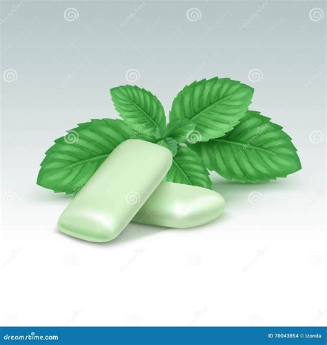 Vector Chewing Gum With Fresh Mint Leaves On White Stock Vector Illustration Of Natural Fresh