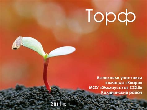 Торф