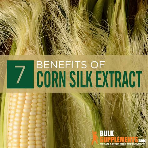 Corn Silk Extract: Benefits, Side Effects and Dosage