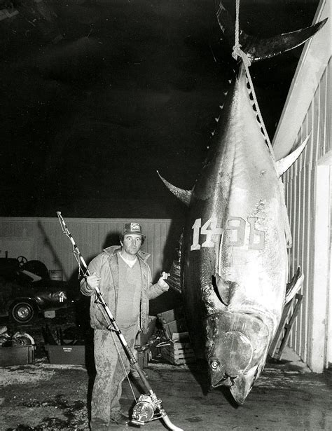 Biggest Tuna Ever Recorded - American Oceans