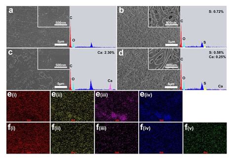 Surface Morphologies And Elemental Characterization Of Different