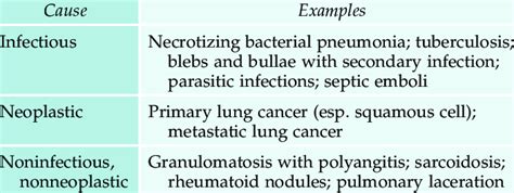 Major Causes of Cavitary Lesions | Download Table