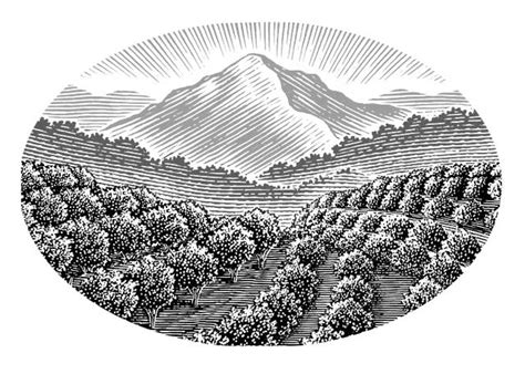 Steven Noble Illustrations: Orchard Landscape