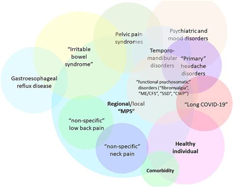 Frontiers Long Covid And Viral Fibromyalgia Ness Suggesting A