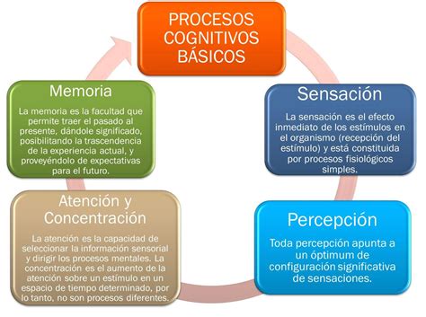 Procesos Cognitivos 2018