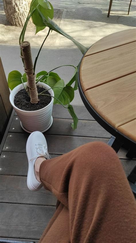 эстетика Весна | Plants, Garden