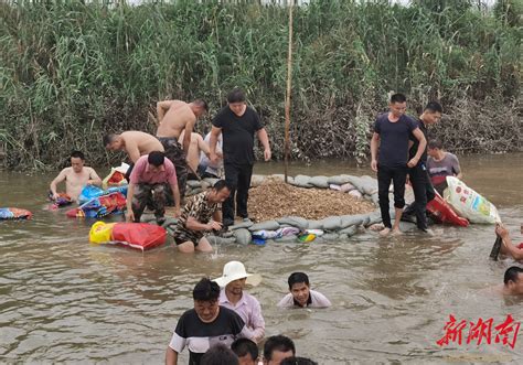 鏖战团洲北直击华容县团洲乡管涌抢险 岳阳 新湖南