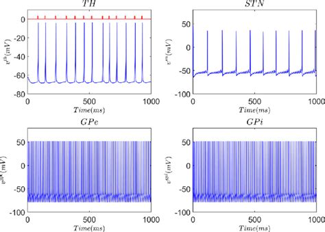 Membrane Voltages Of The TH Top Right STN Top Left GPe Bottom