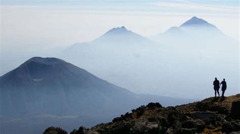 From Kigali Bisoke Hike Volcanoes National Park With Lunch Getyourguide