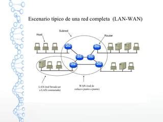 Introducci N A Redes De Computadoras Pdf