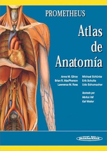 Anatomía Humana Fernando Quiroz Gutierrez Tomo 1 2 Y 3 Medicine Books