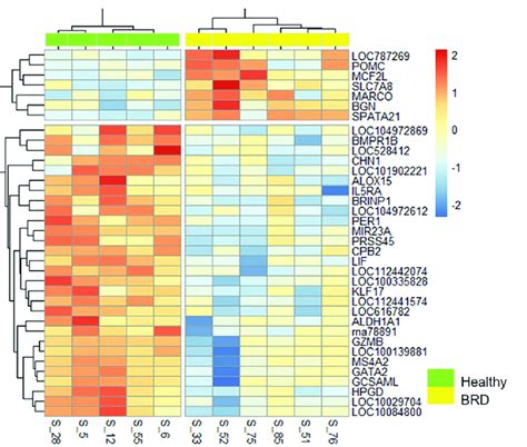 Heatmap Of 36 Differentially Expressed Genes Identified At Arrival Download Scientific Diagram