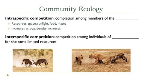 Ppt Population And Community Ecology Powerpoint Presentation Free Download Id 652375