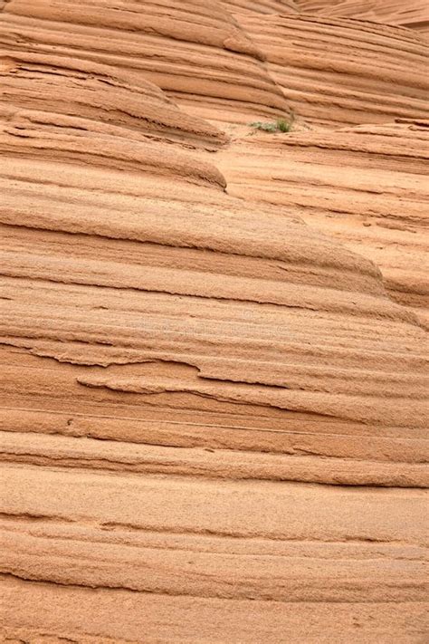 Stratified Rock Background Canyon Seamless Texture Wallpaper