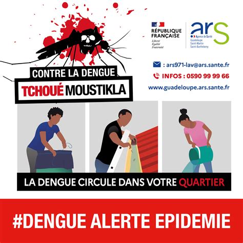 Recrudescence Des Cas De Dengue En Guadeloupe Agence R Gionale De