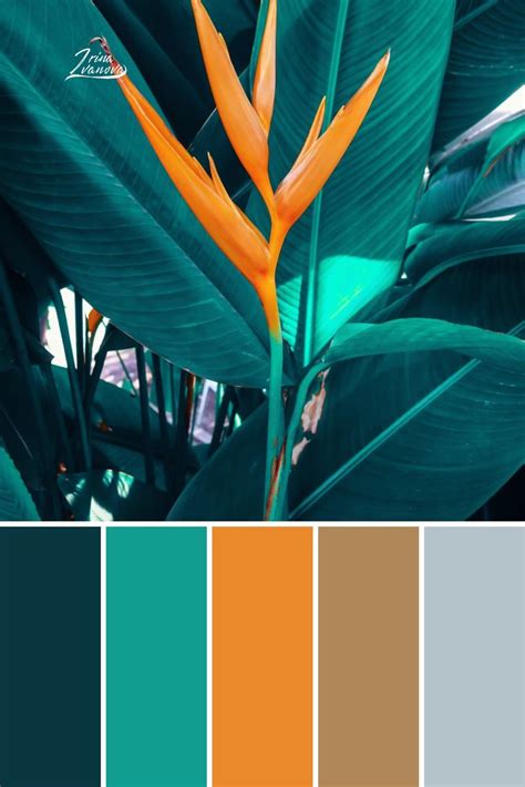 Color Palette Combinations Schemes Aesthetic Colors Palette Earth Tone