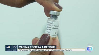 Df Mil Doses Da Vacina Contra A Dengue Vencem No Fim Deste M S