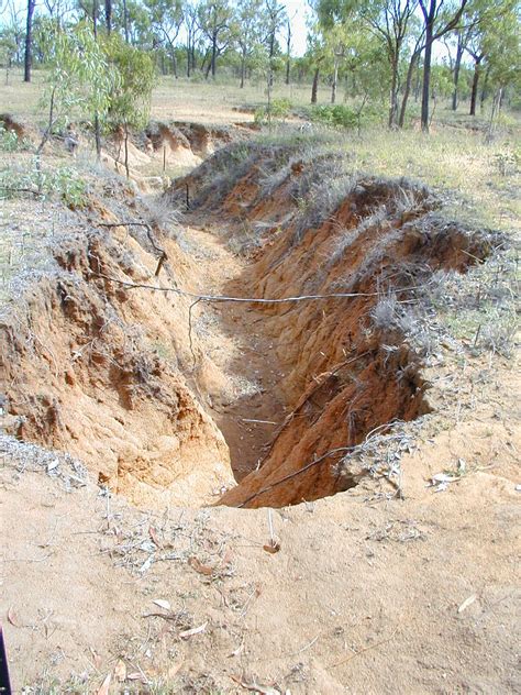 Stopping the shifting sands: Evaluating gully erosion remediation