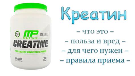 Корисні властивості креатину