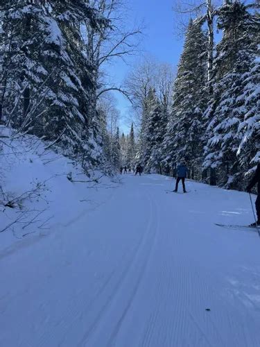 Best Moderate Trails In Saint Felicien Alltrails